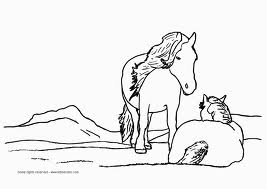 Horse 3